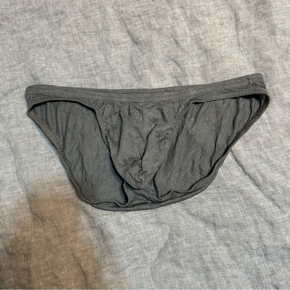 N2N Bodywear Grey Semi Sheer Rayon Stretch Pouch Briefs Size Large NWT